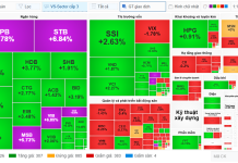 Nhịp đập Thị trường 21/08: Tăng điểm trong bối cảnh số mã giảm chiếm ưu thế